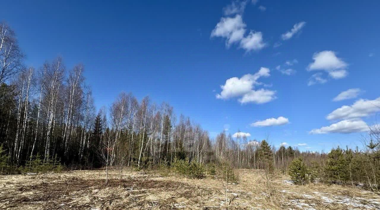 земля г Солнечногорск СППК Ветеран Вооруженных Сил тер фото 14
