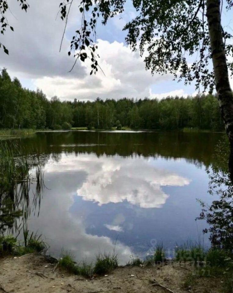 квартира г Балашиха мкр Кучино ул Соловьёва 1 ЖК «Леоновский парк» фото 12