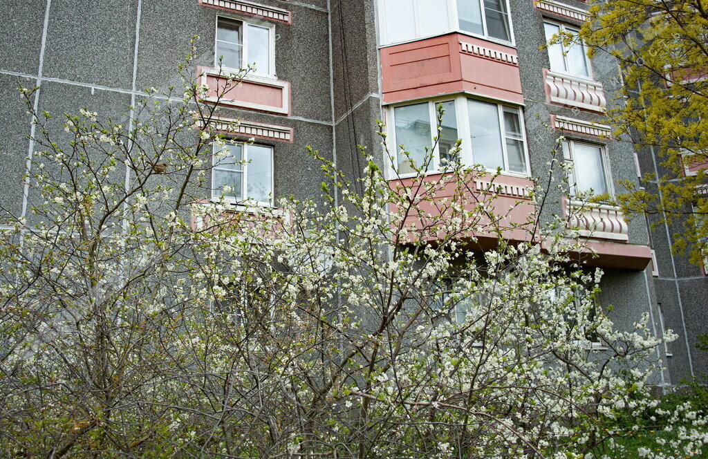 квартира р-н Гатчинский г Гатчина ул Генерала Сандалова 5 фото 11