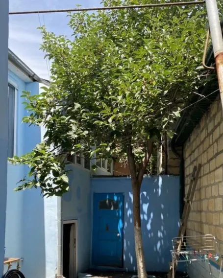 комната г Дербент ул 5 Магал 33 фото 6
