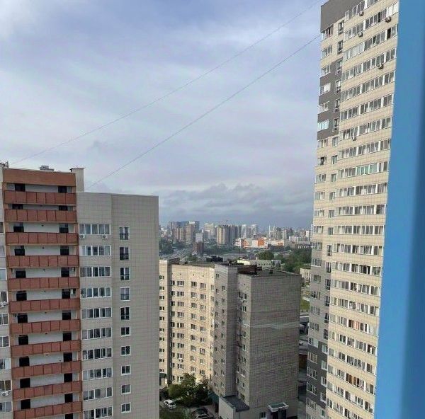 квартира г Новосибирск Берёзовая роща ул Державина 77 фото 20