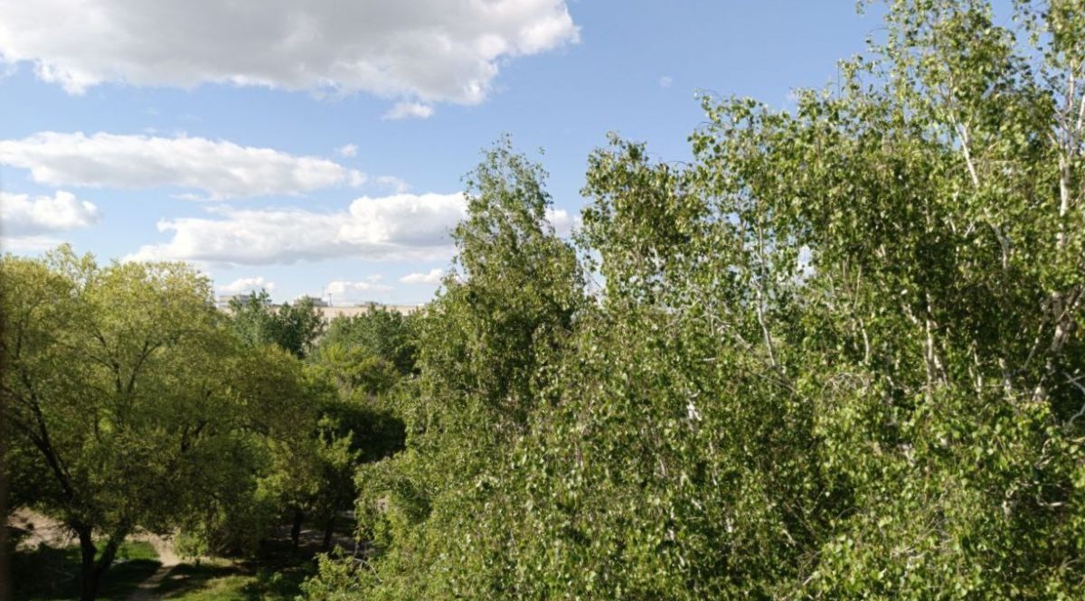 квартира г Барнаул р-н Ленинский ул Георгия Исакова 165 фото 20