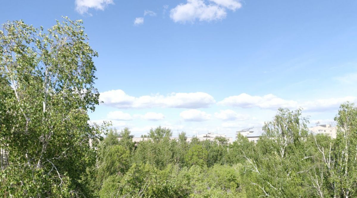 квартира г Барнаул р-н Ленинский ул Георгия Исакова 165 фото 21