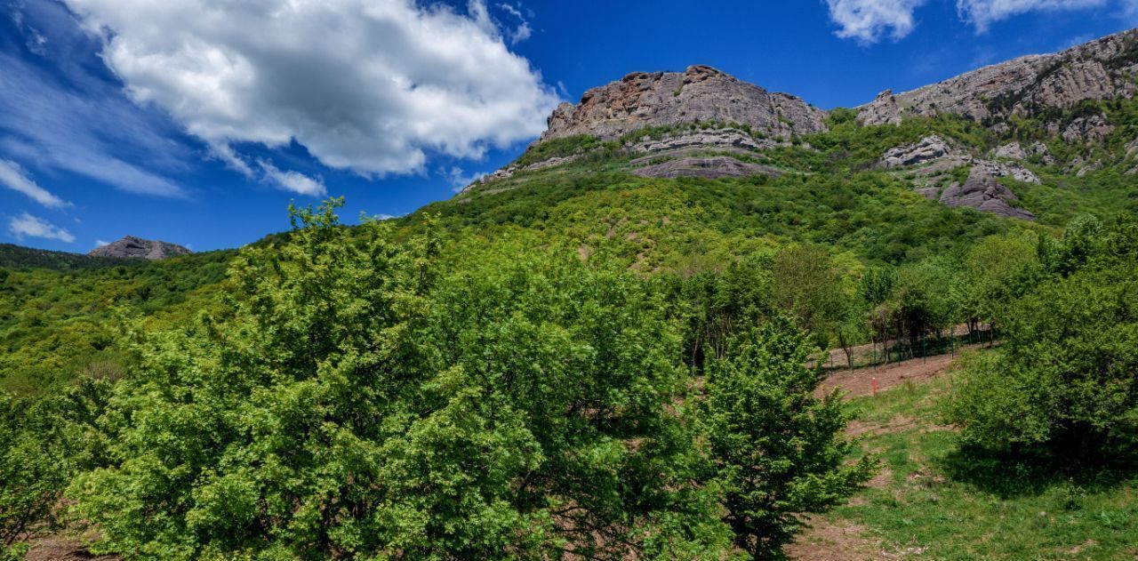 дом г Алушта с Лучистое фото 5