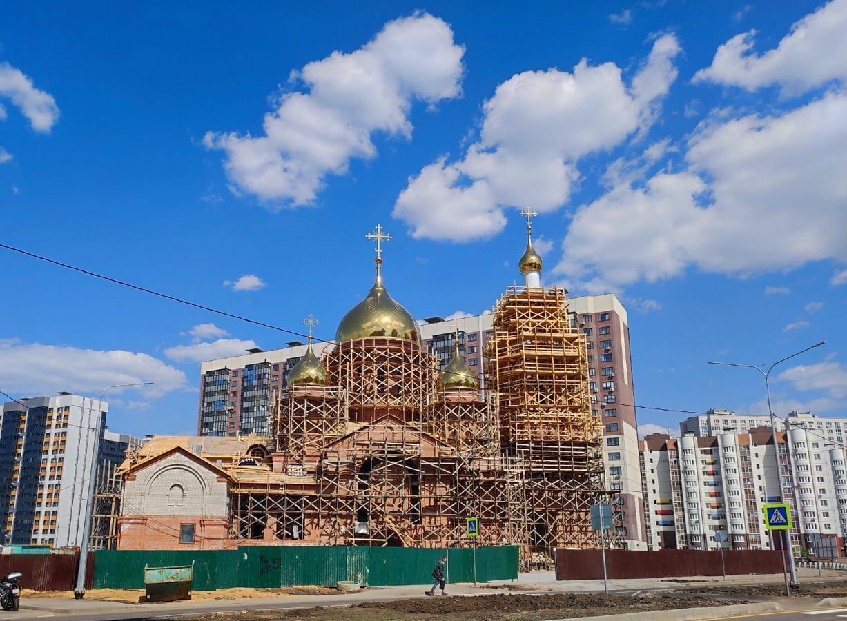 квартира г Воронеж р-н Советский Шилово ЖК «Ласточкино» ул. Острогожская/Коренцова/Ключникова, стр. 36 фото 2
