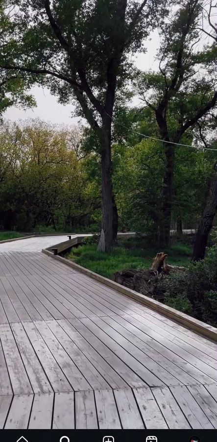 квартира г Махачкала р-н Кировский Благородная ул., 10 фото 9