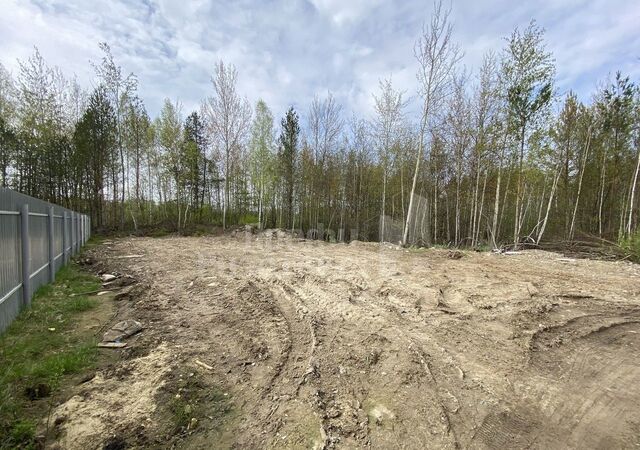 земля Парк культуры снт Станция Горький-Сортировочный ДОЗ-1 фото