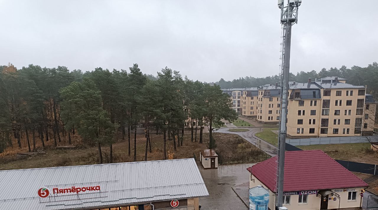 квартира г Смоленск р-н Заднепровский ул Красноборская 7а фото 20