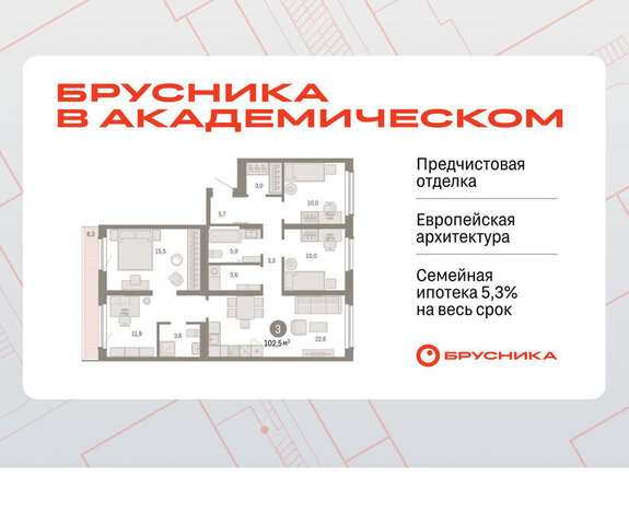 Чкаловская Академический ЖК Брусника в Академическом 19-й квартал фото