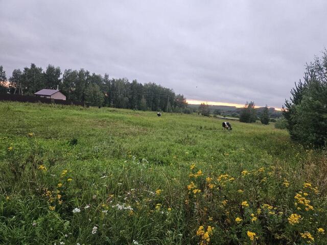 с 2, Серебряные Пруды фото