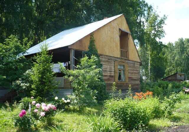 Кемеровская обл. — Кузбасс, СДТ Универсал-2, Кемерово фото