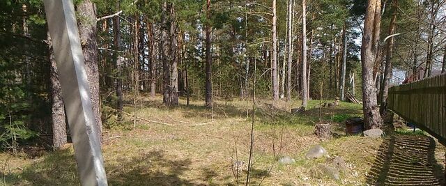 д Опухлики фото