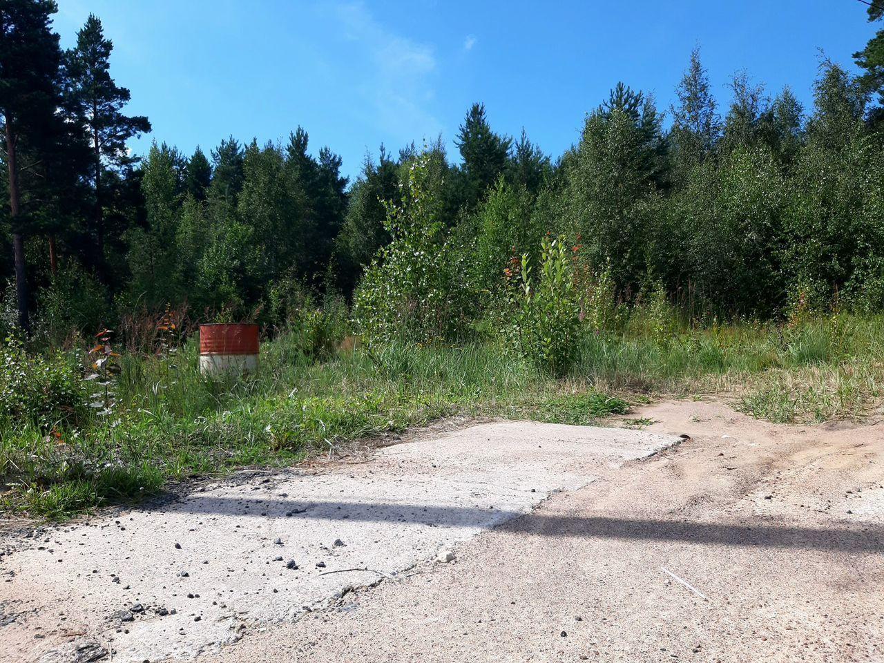 земля г Сосновый Бор ул Космонавтов 26 Сосновоборский городской округ, 13 Микрорайон фото 4