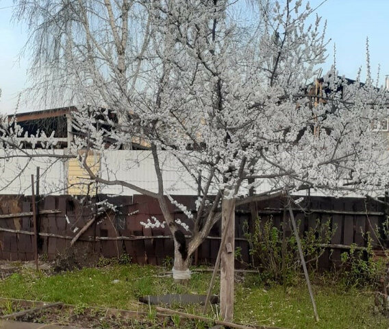 Сосновский округ, Рощинское сельское поселение, 26-я улица, СНТ Надежда фото