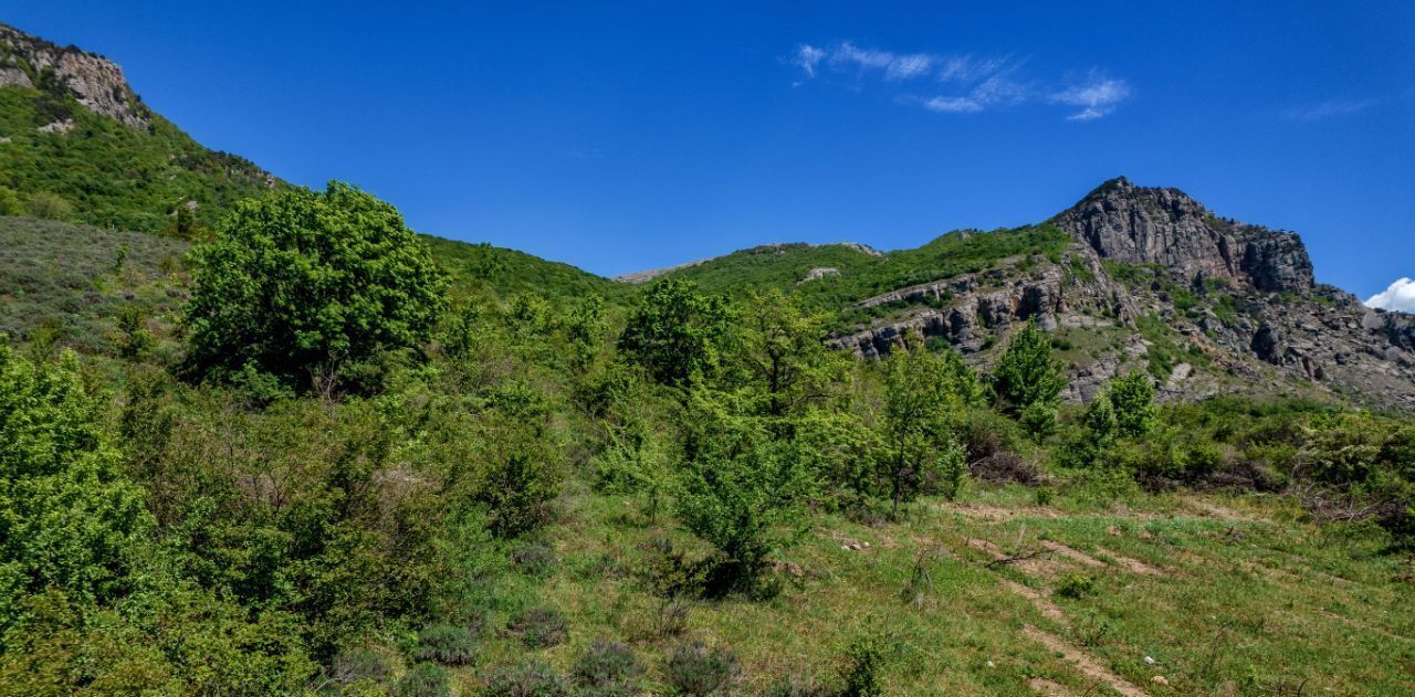 дом г Алушта с Лучистое фото 9