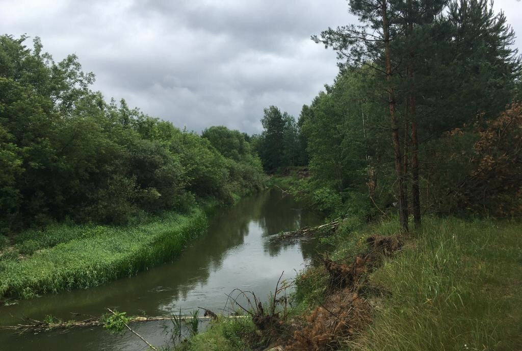 дом г Брянск п Большое Полпино тер СО Октябрьское фото 5