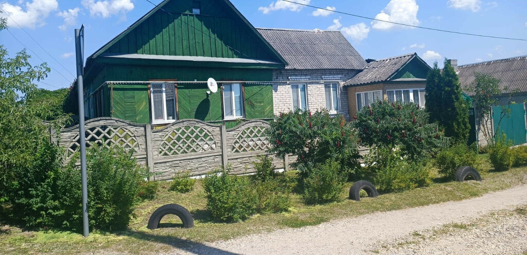 дом г Брянск рп Радица-Крыловка Бежицкий район ул Желябова 30 фото 26