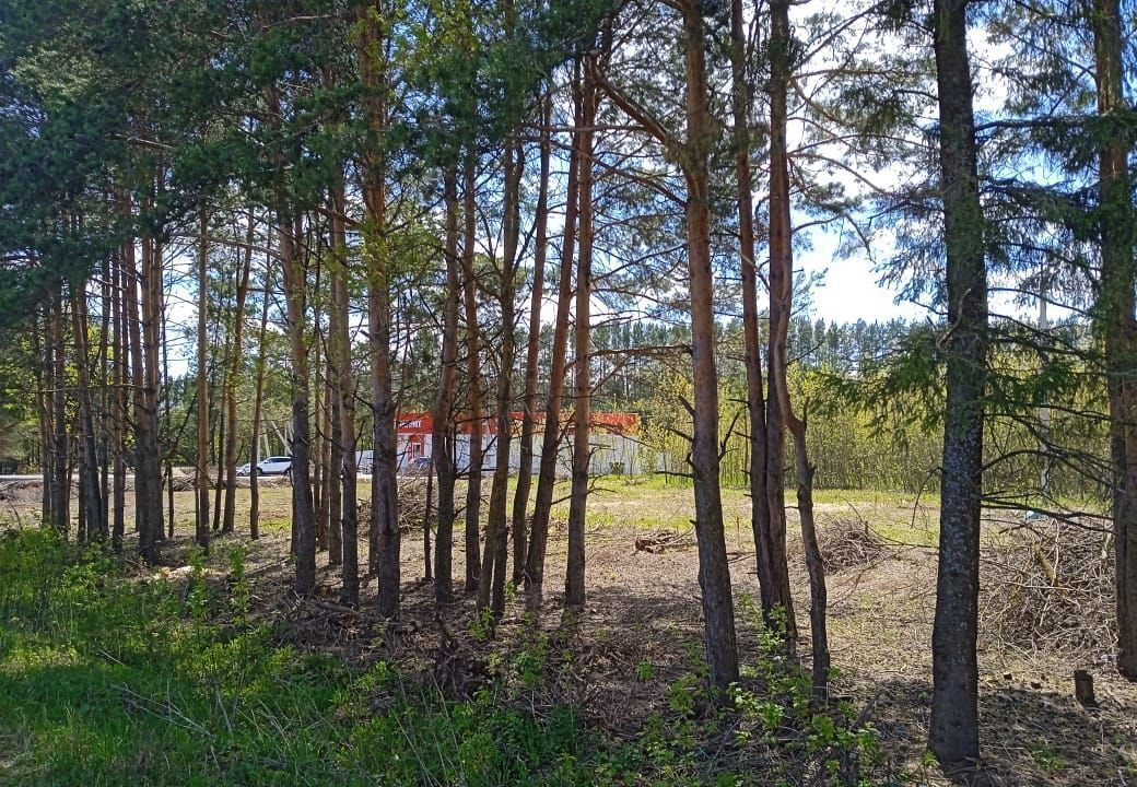 земля г Ижевск 94Р-9 фото 6