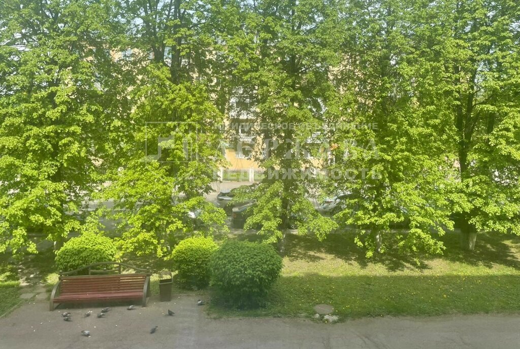 квартира г Кемерово р-н Центральный ул Николая Островского 29 фото 7