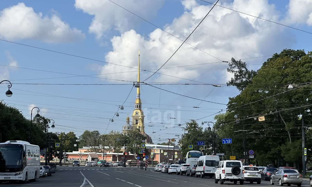 квартира г Санкт-Петербург метро Горьковская Посадский округ ул Куйбышева 26/2 фото 26