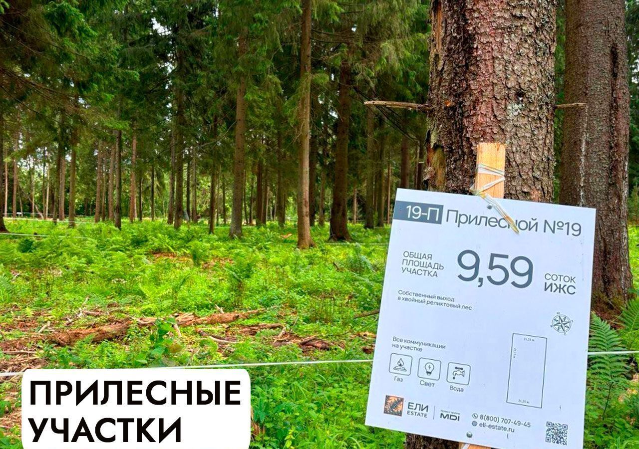 земля г Клин 54 км, эко-посёлок Ели эстейт, Новопетровское, Ленинградское шоссе фото 19