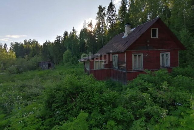 снт Искусство Деревянкское сельское поселение фото