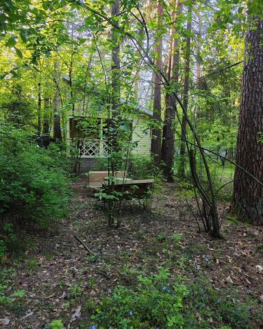 ул Лесная 31 км, Истра, Волоколамское шоссе фото