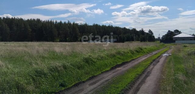 муниципальный округ Сухой Лог фото