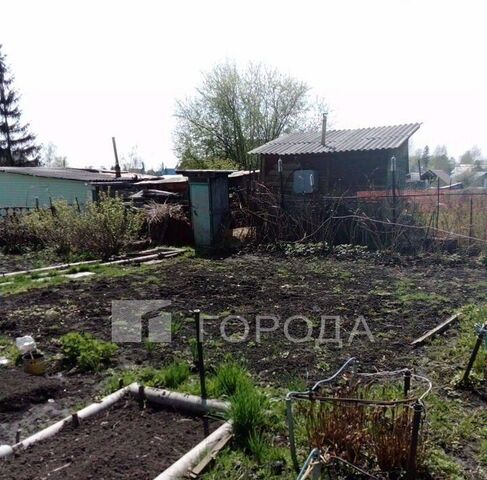 Берёзовая роща снт тер.Золотая Горка аллея 0, 26 фото