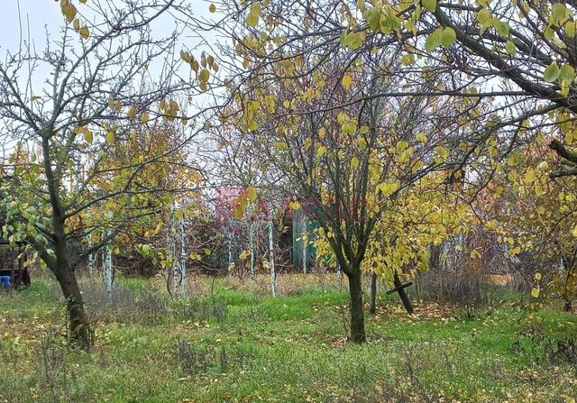 с Синявское ул Халтурина 111 Синявское сельское поселение фото