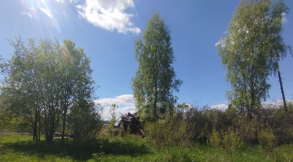 земля р-н Шарьинский г Шарья д Алешунино пер Алешунинский 22 фото 4