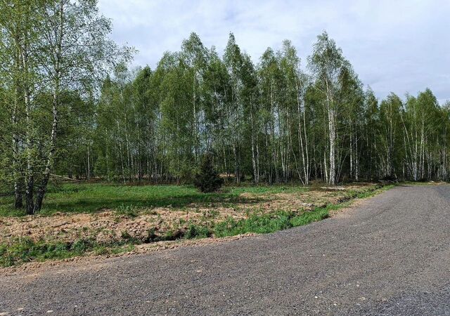 35 км, Деденево, Дмитровское шоссе фото