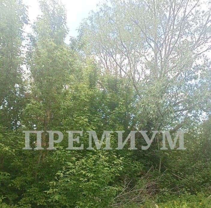 земля г Кинель пгт Усть-Кинельский ул. Славянская, 12 фото 1
