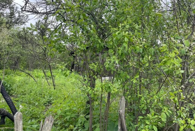 земля снт Маяк фото