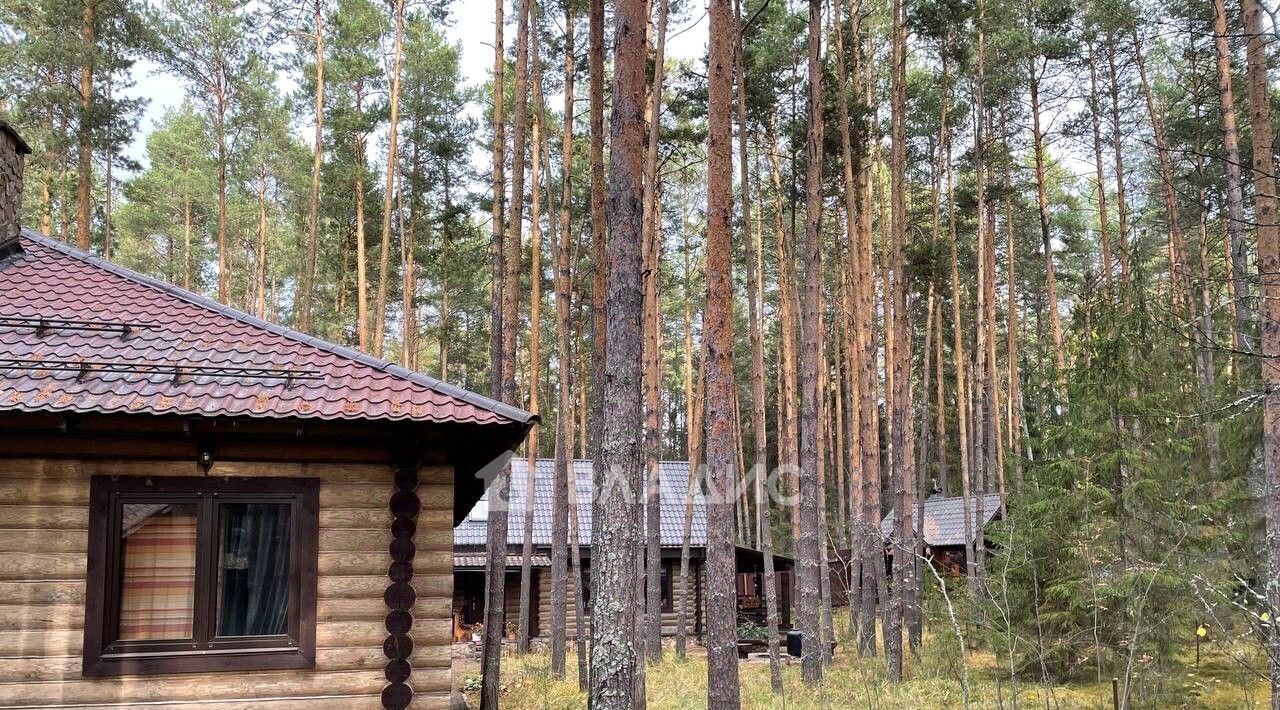 дом г Выкса сп Дружба Городецкий муниципальный округ фото 2