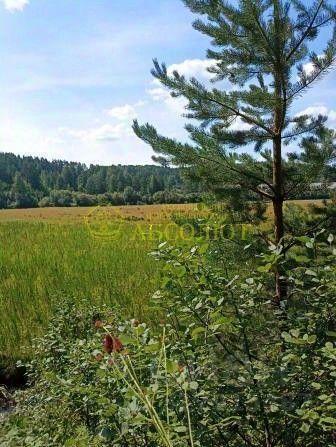 р-н Пригородный урочище, Ревда муниципальный округ фото