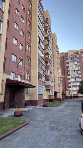 р-н Октябрьский ул Никитина 2/1 фото
