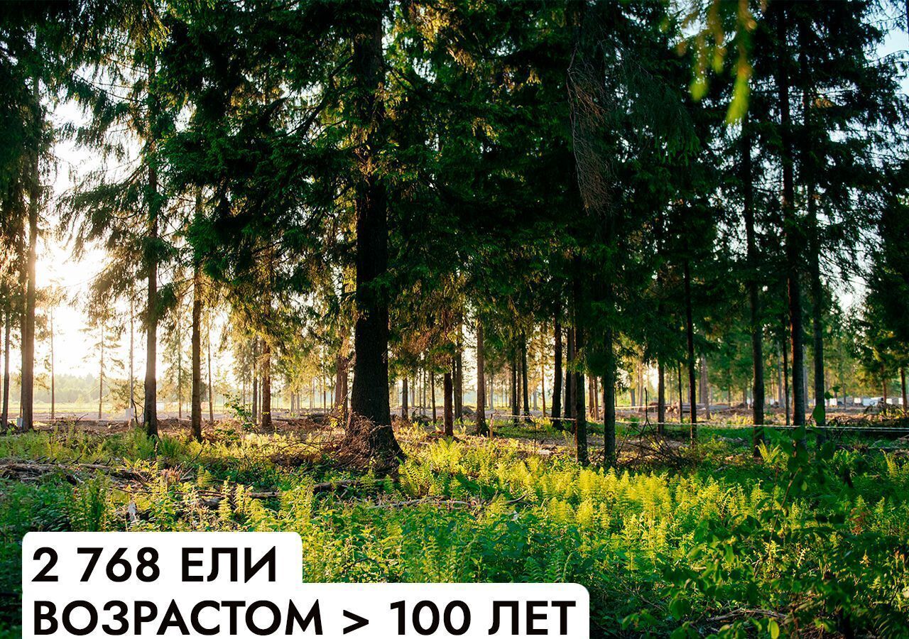 земля г Истра Павловская Слобода, 25 км, коттеджный пос. Монтевиль, Новорижское шоссе фото 8