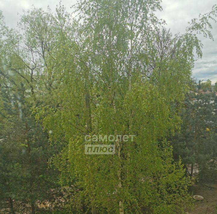квартира г Псков ул Гдовская 4 фото 21