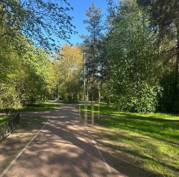 квартира г Санкт-Петербург метро Академическая ул Карпинского 11к/1 фото 17