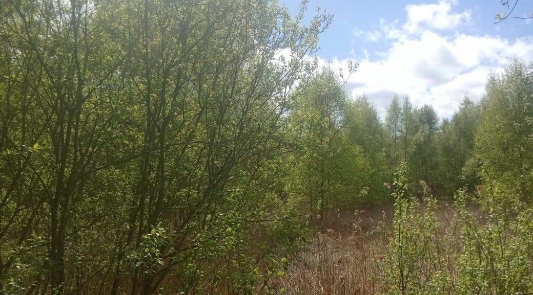 офис г Шатура фото 1