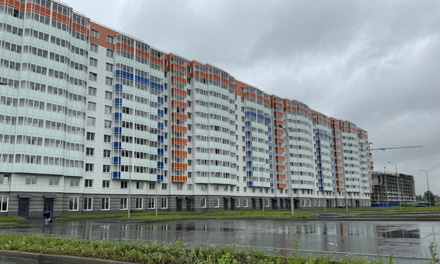 тер Заводская городской пос. Янино-1, 18 к 2, Всеволожский муниципальный район фото