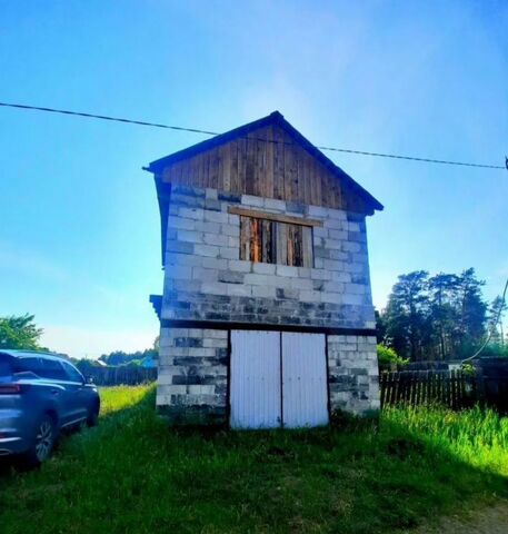 снт Автомобилист городской пос. Зелёный Бор фото