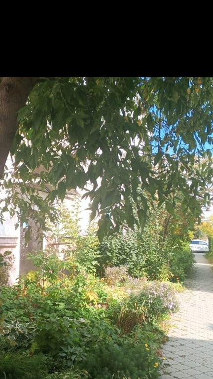 квартира г Нижний Тагил Центр пр-кт Мира 26 м-н фото 3
