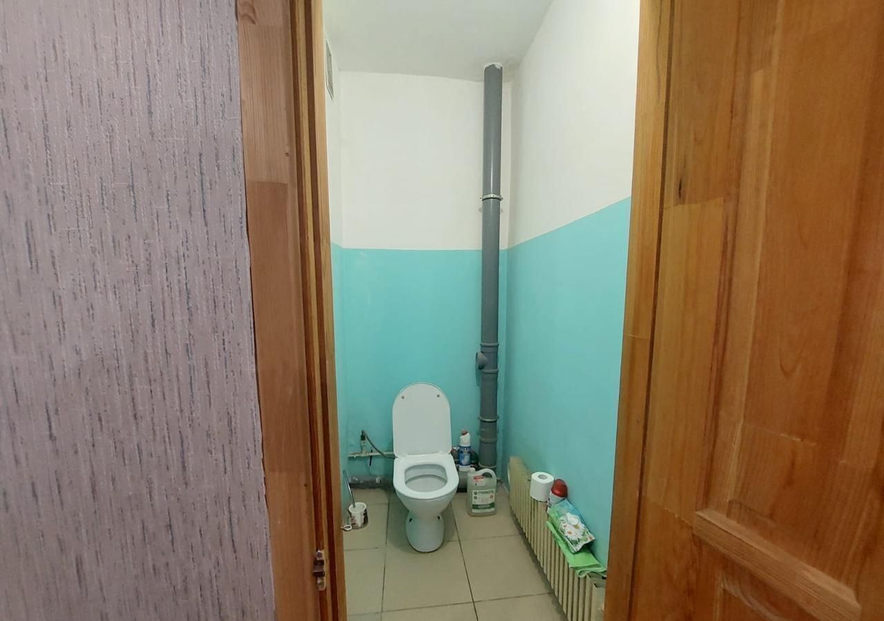 квартира г Воронеж р-н Центральный ул Академика Конопатова 13 фото 22