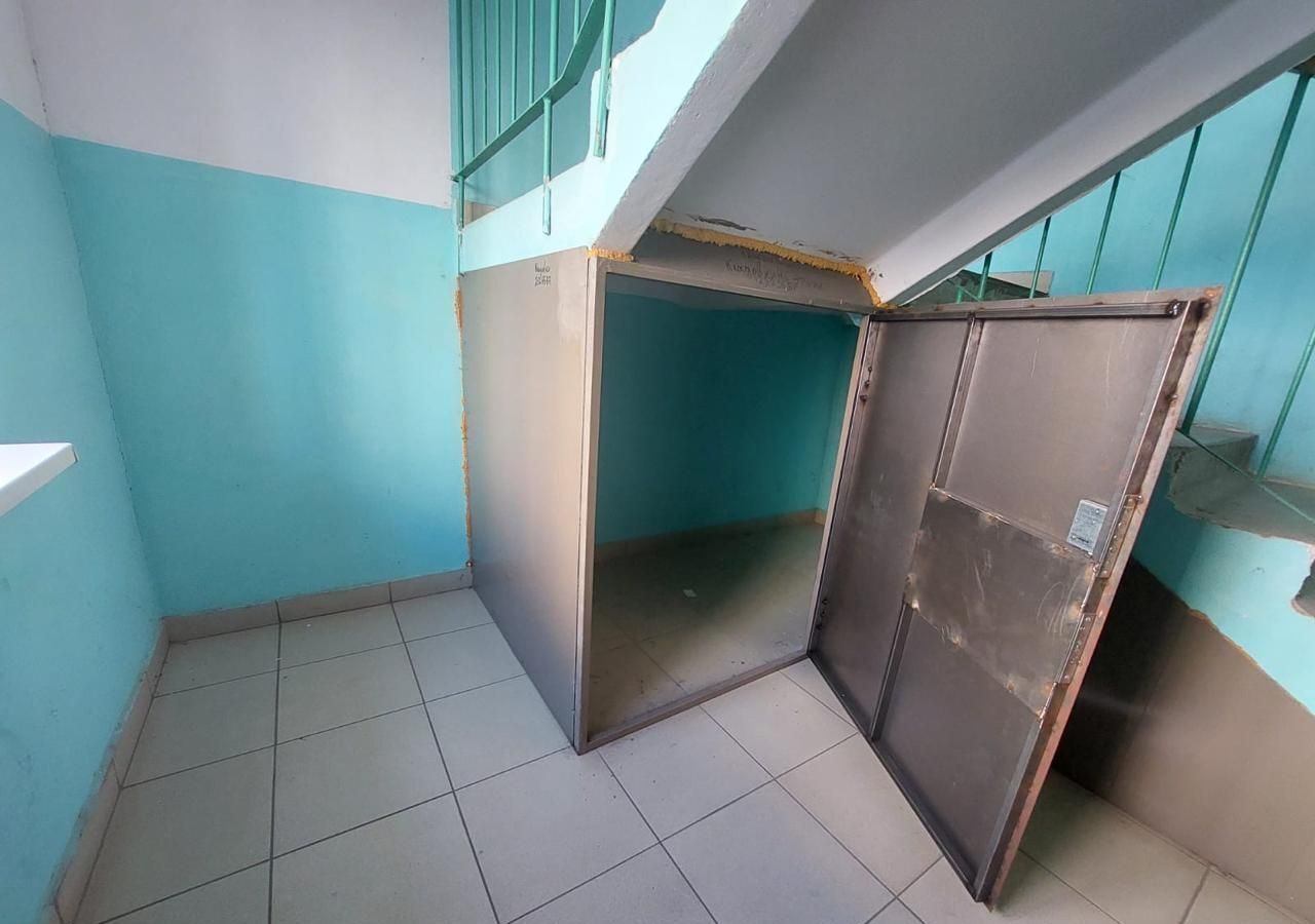 квартира г Воронеж р-н Центральный ул Академика Конопатова 13 фото 33