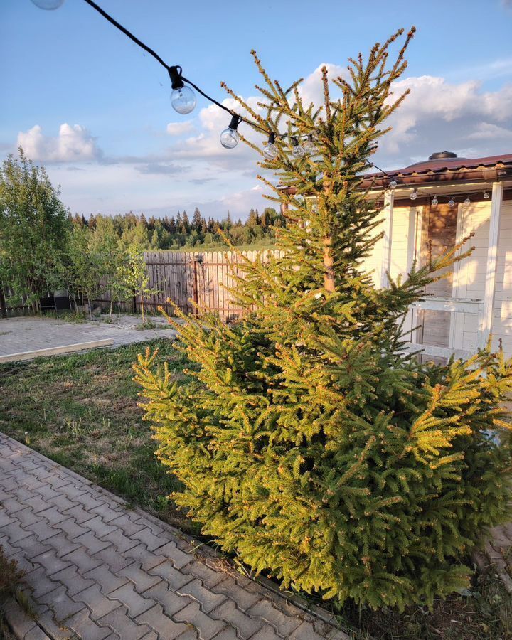 дом городской округ Клин г Высоковск 77 км, коттеджный пос. Озеро Жемчужин, г. о. Клин, Ленинградское шоссе фото 26