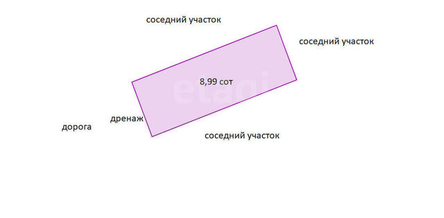 Дмитровский муниципальный округ, СНТ Здоровье фото