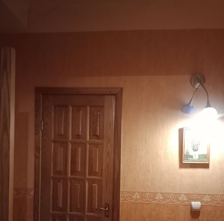 квартира г Великие Луки пр-кт Ленина 34 фото 11