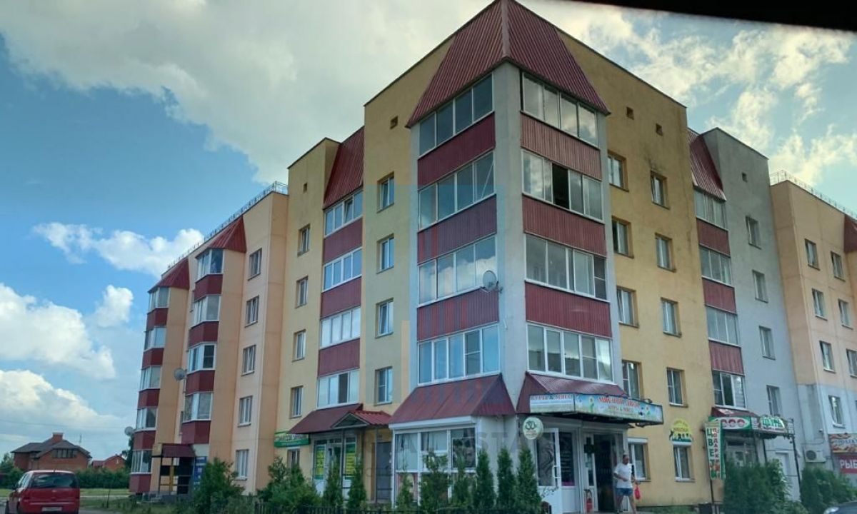 квартира г Чехов ул Новая 43 фото 16